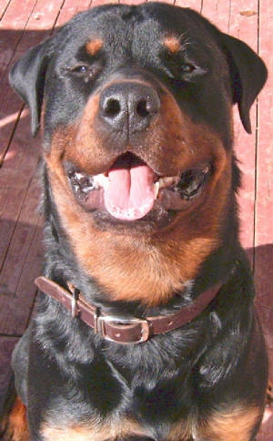 beckhamsept21-14mos.jpg