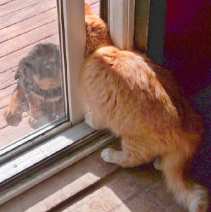 fait & toffee.jpg