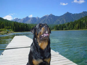max05.jpg