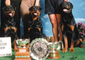 rothburg-siegershow.jpg