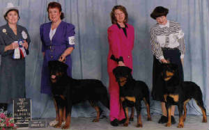 ROTHBURG ROTTWEILERS