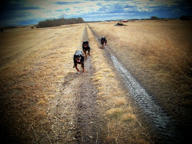 100_0016-mar11.jpg