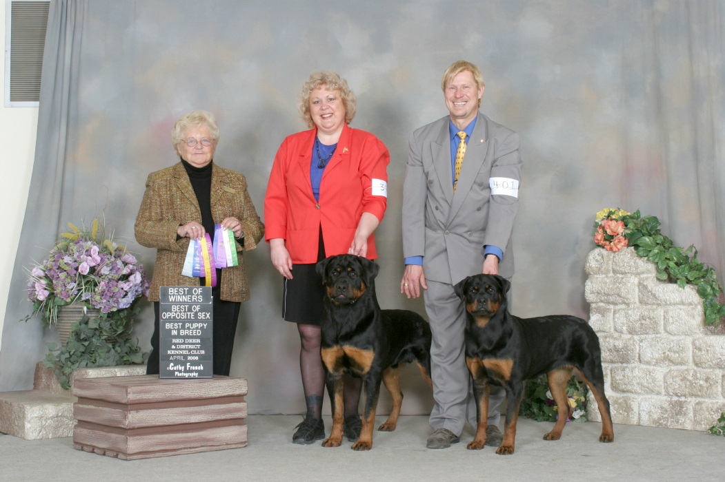FIRST DOG SHOW.jpg