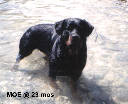 moe-june28.03.jpg