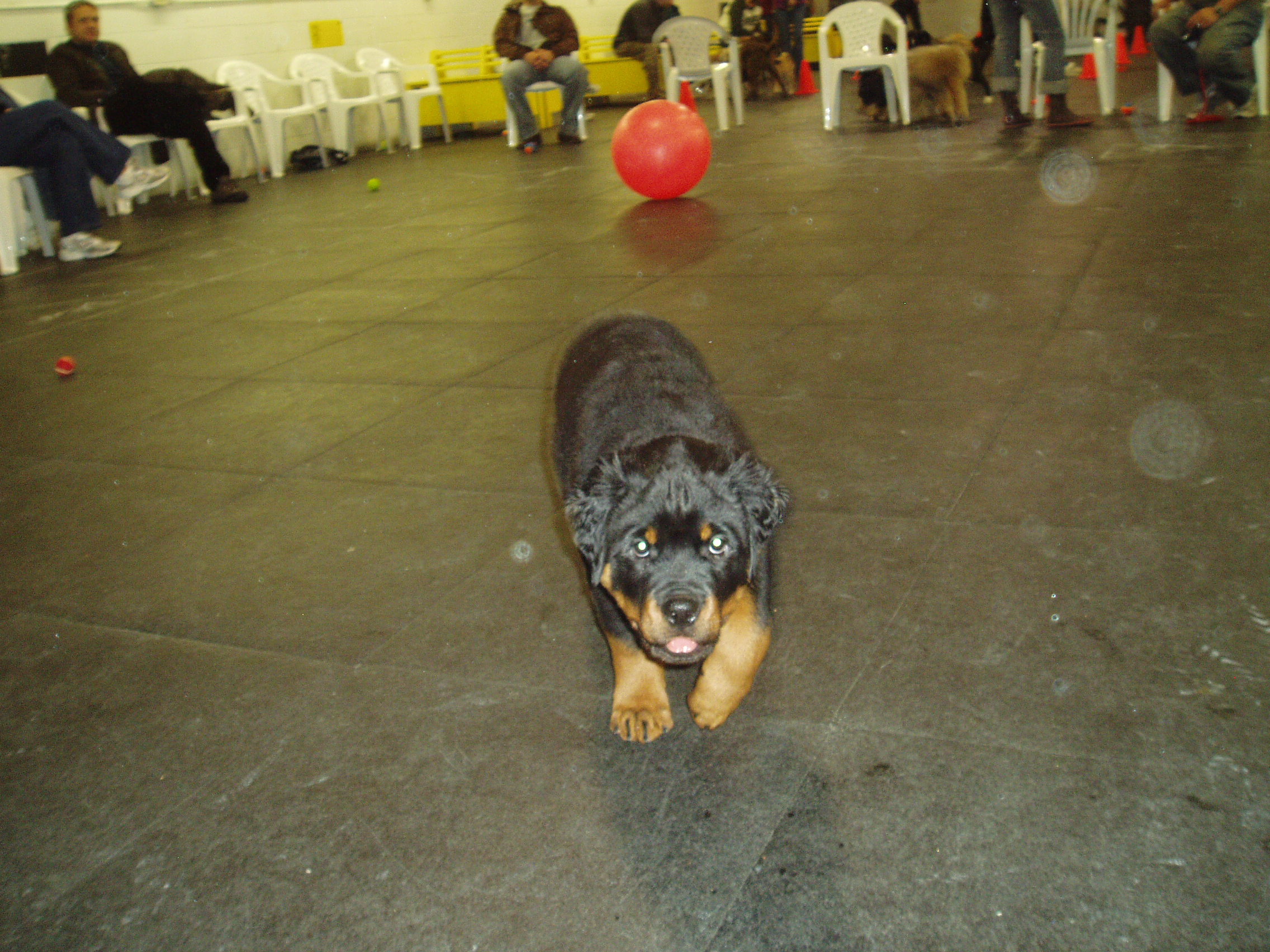 p1010111.jpg