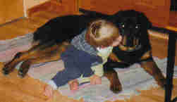 QUALITY PET PUPPIES